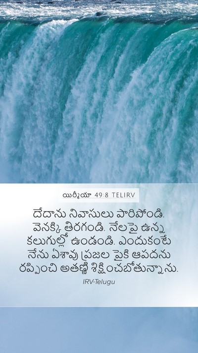 యిర్మీయా 49:8 TELIRV Bible Verse Image