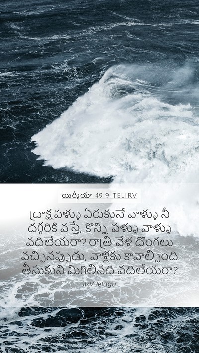 యిర్మీయా 49:9 TELIRV Bible Verse Image