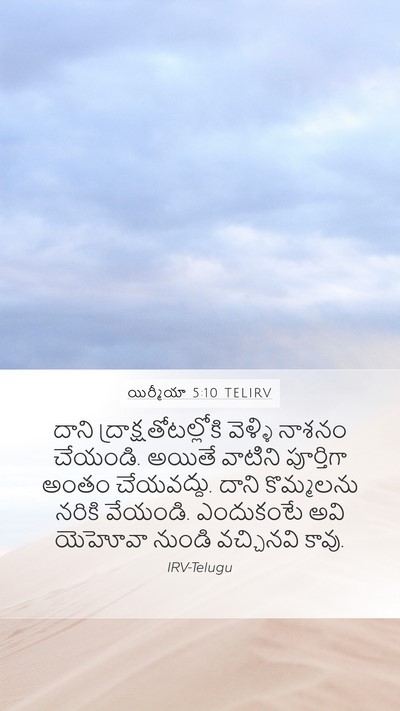 యిర్మీయా 5:10 TELIRV Bible Verse Image