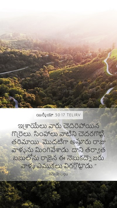 యిర్మీయా 50:17 TELIRV Bible Verse Image