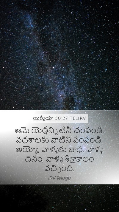 యిర్మీయా 50:27 TELIRV Bible Verse Image