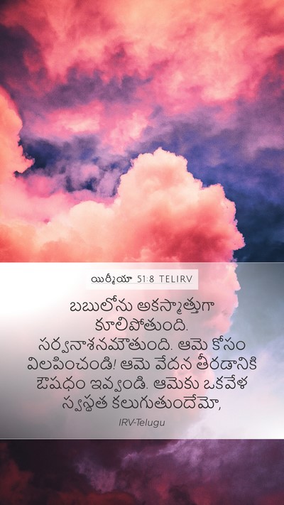 యిర్మీయా 51:8 TELIRV Bible Verse Image