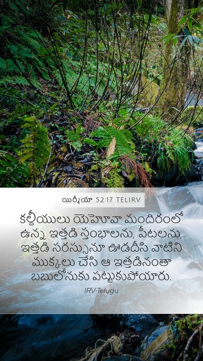 యిర్మీయా 52:17 TELIRV Mobile Phone Wallpaper - కల్దీయులు యెహోవా - Mobile Bible Verse Wallpaper