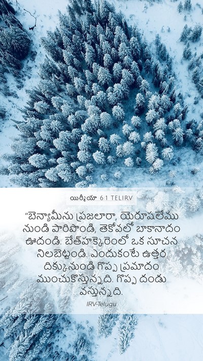 యిర్మీయా 6:1 TELIRV Bible Verse Image