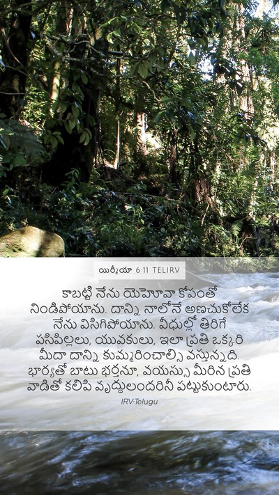 యిర్మీయా 6:11 TELIRV Bible Verse Image
