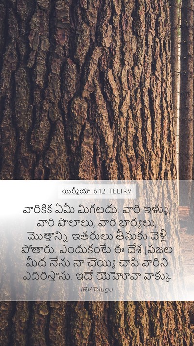 యిర్మీయా 6:12 TELIRV Bible Verse Image