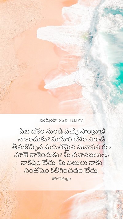 యిర్మీయా 6:20 TELIRV Bible Verse Image