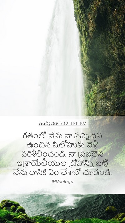 యిర్మీయా 7:12 TELIRV Bible Verse Image