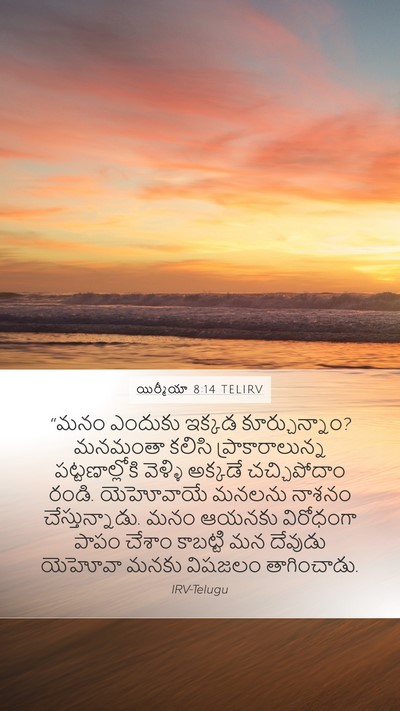 యిర్మీయా 8:14 TELIRV Bible Verse Image