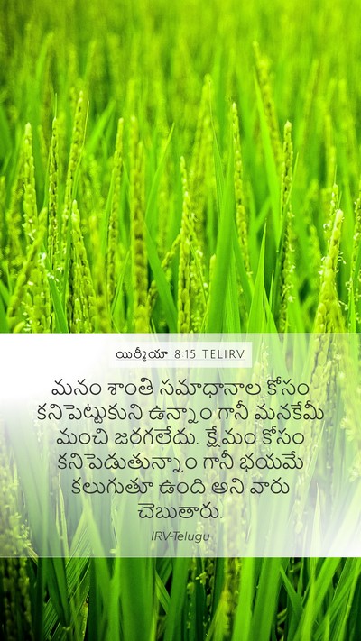 యిర్మీయా 8:15 TELIRV Mobile Phone Wallpaper - మనం శాంతి - Mobile Bible Verse Wallpaper