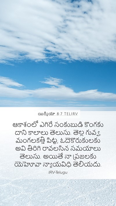 యిర్మీయా 8:7 TELIRV Bible Verse Image
