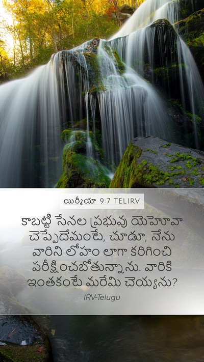 యిర్మీయా 9:7 TELIRV Bible Verse Image