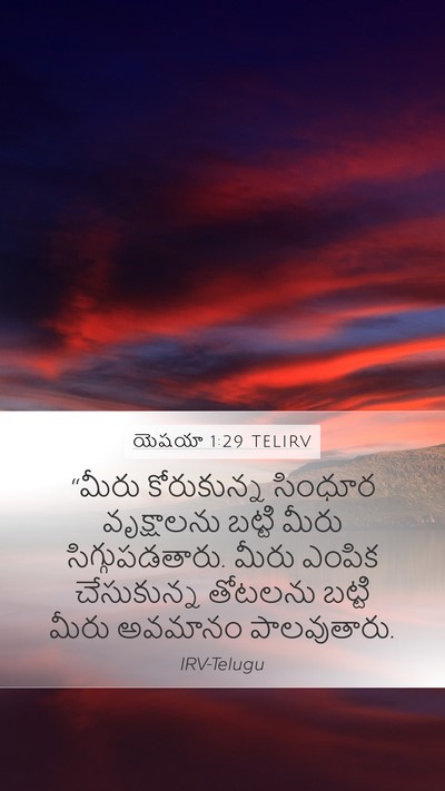 యెషయా 1:29 TELIRV Bible Verse Image