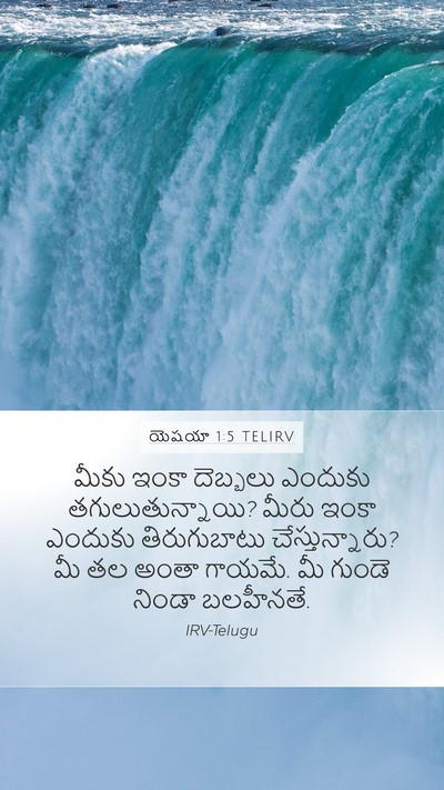 యెషయా 1:5 TELIRV Bible Verse Image