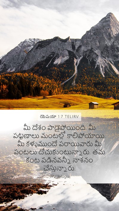 యెషయా 1:7 TELIRV Bible Verse Image