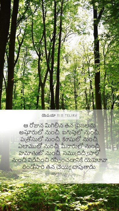 యెషయా 11:11 TELIRV Bible Verse Image