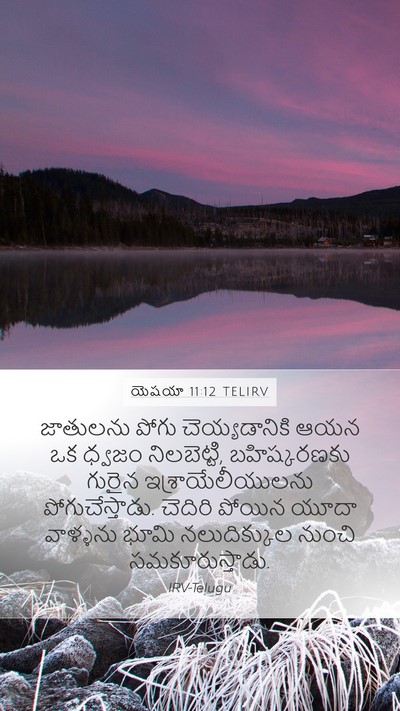 యెషయా 11:12 TELIRV Bible Verse Image