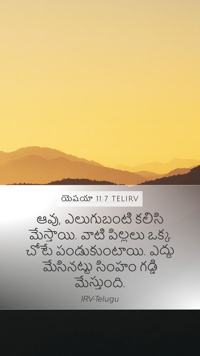 యెషయా 11:7 TELIRV Mobile Phone Wallpaper - ఆవు, ఎలుగుబంటి - Mobile Bible Verse Wallpaper