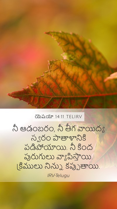 యెషయా 14:11 TELIRV Bible Verse Image