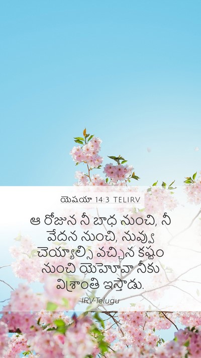 యెషయా 14:3 TELIRV Bible Verse Image