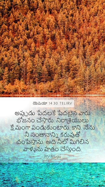 యెషయా 14:30 TELIRV Mobile Phone Wallpaper - అప్పుడు పేదలకే - Mobile Bible Verse Wallpaper