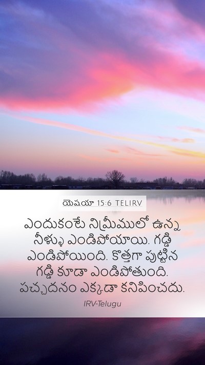 యెషయా 15:6 TELIRV Bible Verse Image