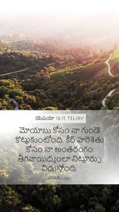 యెషయా 16:11 TELIRV Bible Verse Image