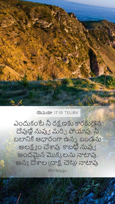 యెషయా 17:10 TELIRV Bible Verse Image