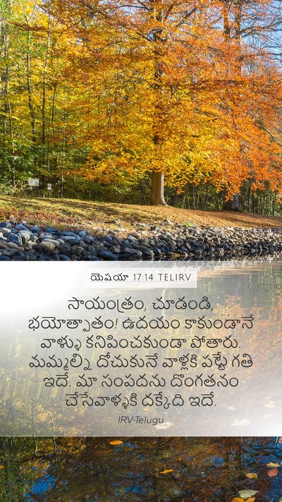 యెషయా 17:14 TELIRV Bible Verse Image