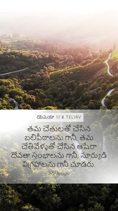 యెషయా 17:8 TELIRV Bible Verse Image