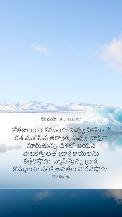 యెషయా 18:5 TELIRV Bible Verse Image