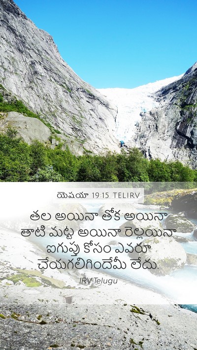 యెషయా 19:15 TELIRV Bible Verse Image