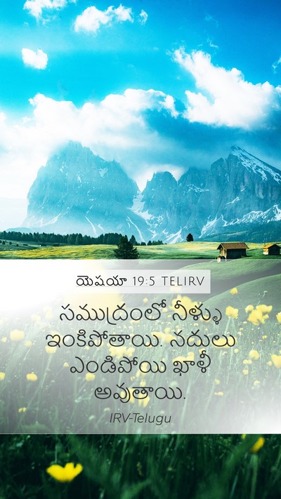యెషయా 19:5 TELIRV Bible Verse Image