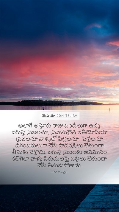 యెషయా 20:4 TELIRV Bible Verse Image