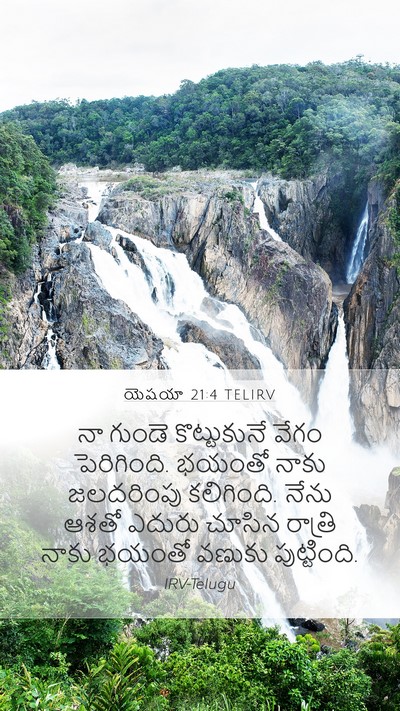 యెషయా 21:4 TELIRV Bible Verse Image