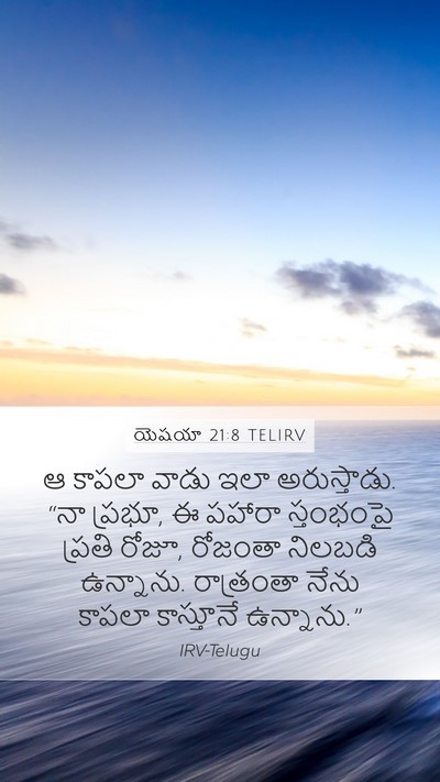 యెషయా 21:8 TELIRV Bible Verse Image