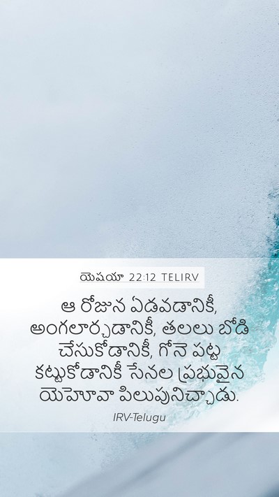 యెషయా 22:12 TELIRV Bible Verse Image