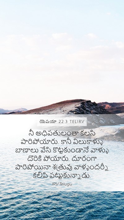యెషయా 22:3 TELIRV Bible Verse Image