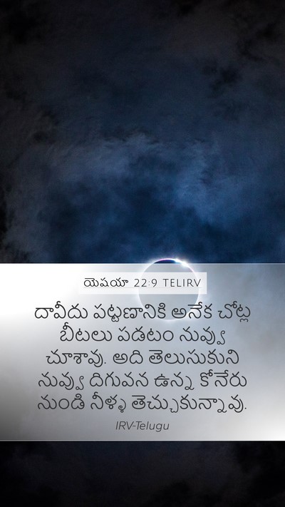 యెషయా 22:9 TELIRV Bible Verse Image