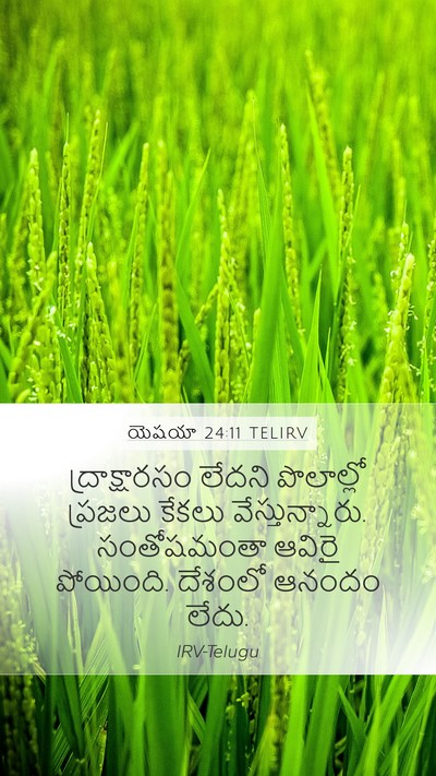 యెషయా 24:11 TELIRV Bible Verse Image