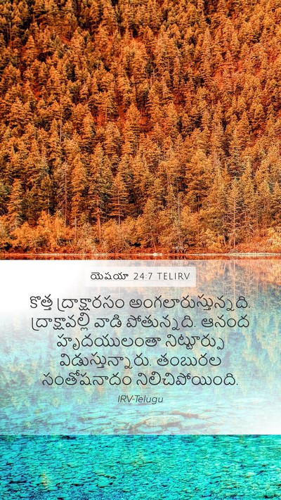 యెషయా 24:7 TELIRV Bible Verse Image