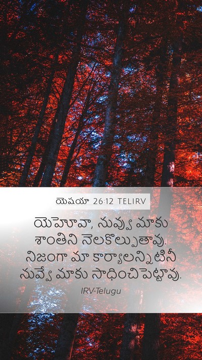 యెషయా 26:12 TELIRV Bible Verse Image