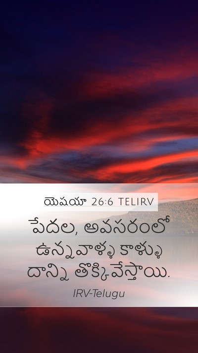 యెషయా 26:6 TELIRV Mobile Phone Wallpaper - పేదల, అవసరంలో - Mobile Bible Verse Wallpaper