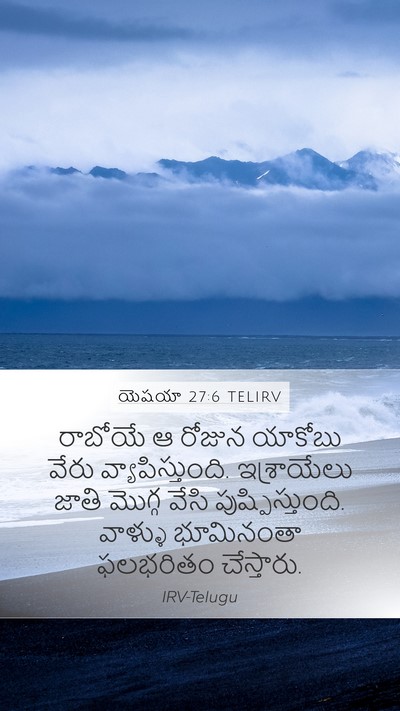 యెషయా 27:6 TELIRV Bible Verse Image