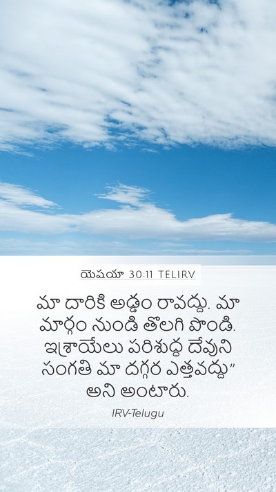 యెషయా 30:11 TELIRV Bible Verse Image