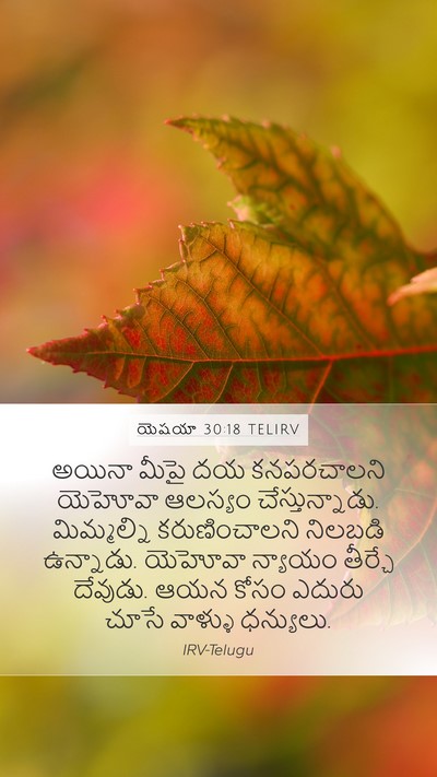 యెషయా 30:18 TELIRV Bible Verse Image