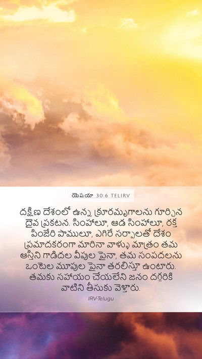 యెషయా 30:6 TELIRV Bible Verse Image