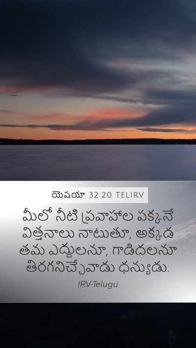 యెషయా 32:20 TELIRV Bible Verse Image