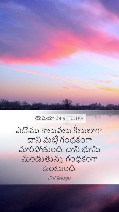 యెషయా 34:9 TELIRV Bible Verse Image