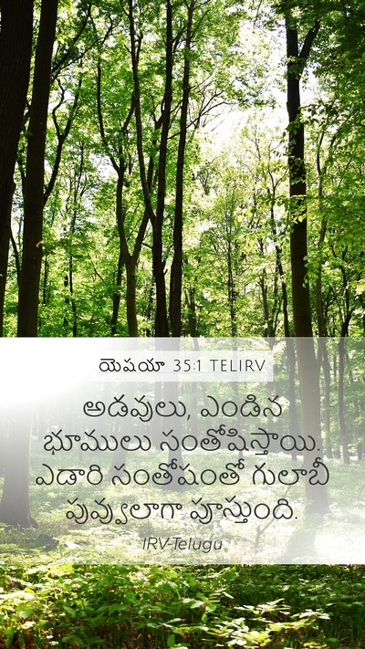 యెషయా 35:1 TELIRV Bible Verse Image